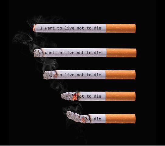 Leave to Live