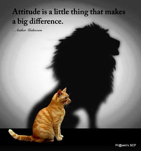 attitude