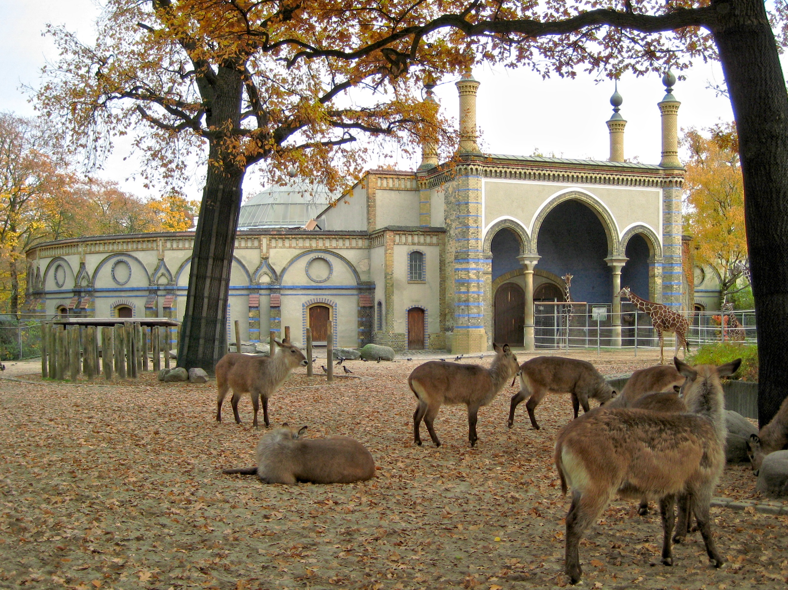 Giraffenhaus_Zoo_Berlin_2