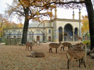 Giraffenhaus_Zoo_Berlin_2
