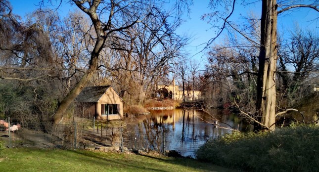 WhatsApp Image 2020-02-11 at 2.12.36 PM