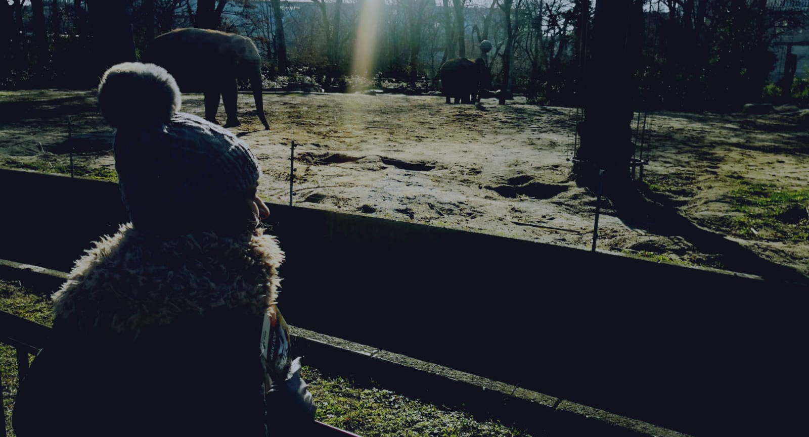 WhatsApp Image 2020-02-11 at 2.15.59 PM