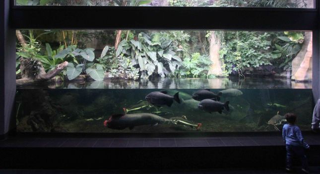 wp-berlin-aquarium-20